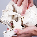 Person pointing at model of human skull during TMJ diagnosis